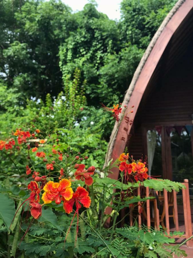 Meno Madia Bungalows Gili Meno Exteriör bild