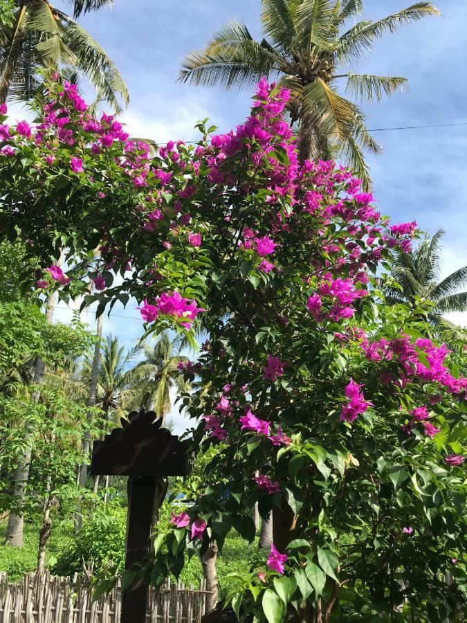 Meno Madia Bungalows Gili Meno Exteriör bild