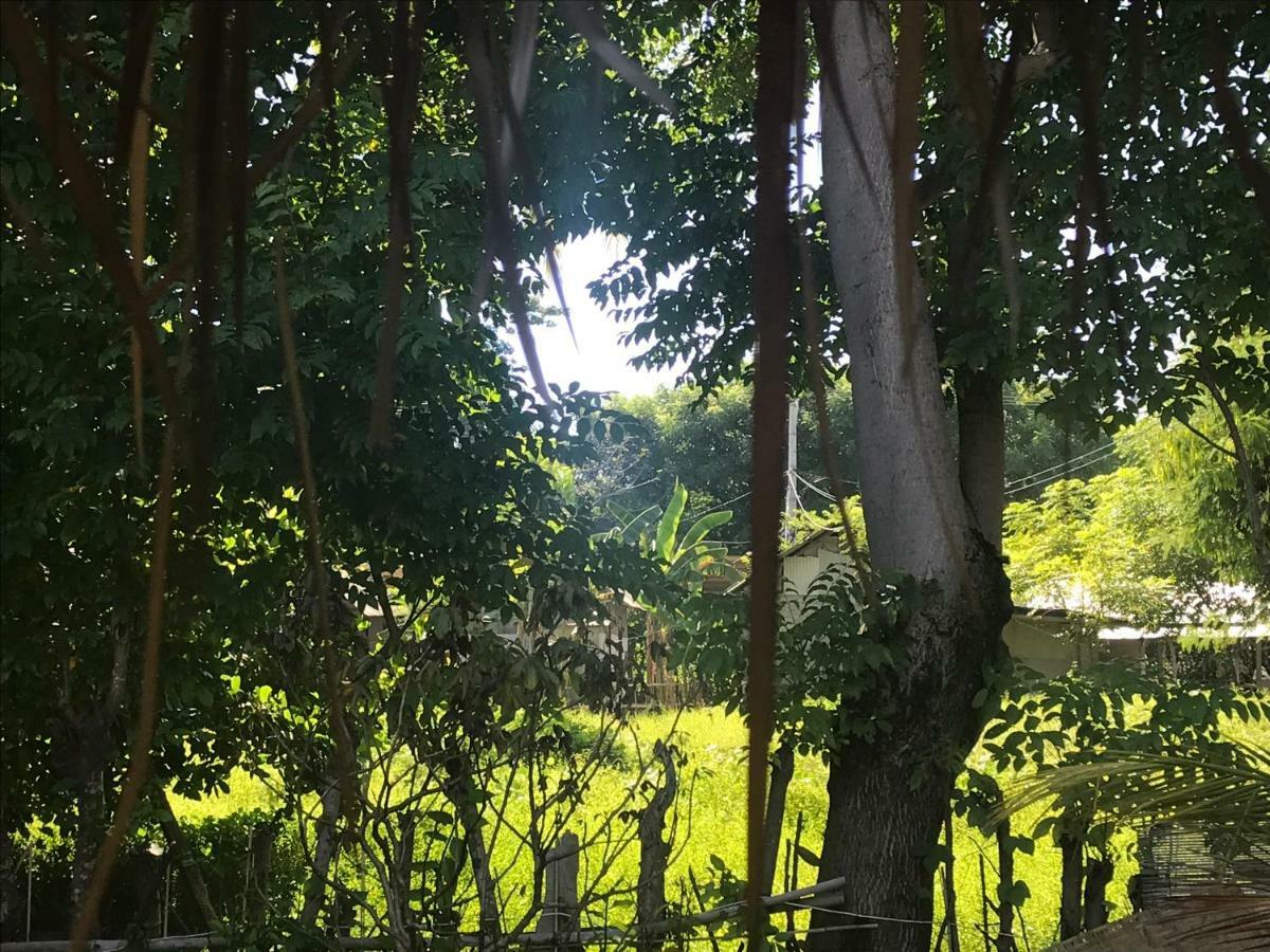 Meno Madia Bungalows Gili Meno Exteriör bild